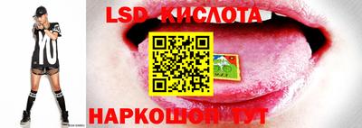 гашик Бузулук