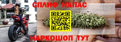 гашик Бузулук