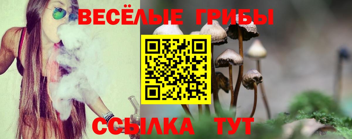 Псилоцибиновые грибы GOLDEN TEACHER  Вход с VPN  Красноуфимск  Галлюциногенные грибы мицелий 